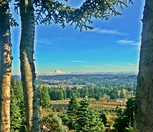 Gift Shop «Sleighbells Of Sherwood (Seasonal Business Open July1-December 23)», reviews and photos, 23855 SW 195th Pl, Sherwood, OR 97140, USA