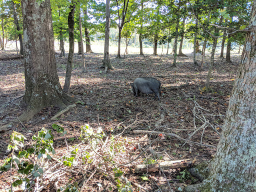 Event Venue «Seven Springs», reviews and photos, 6831 Dabneys Mill Rd, Manquin, VA 23106, USA