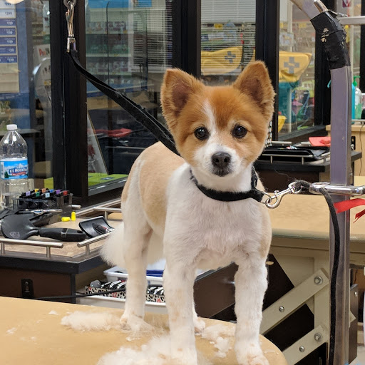 Pet Supply Store «PetSmart», reviews and photos, 2017 N Prospect Ave, Champaign, IL 61822, USA