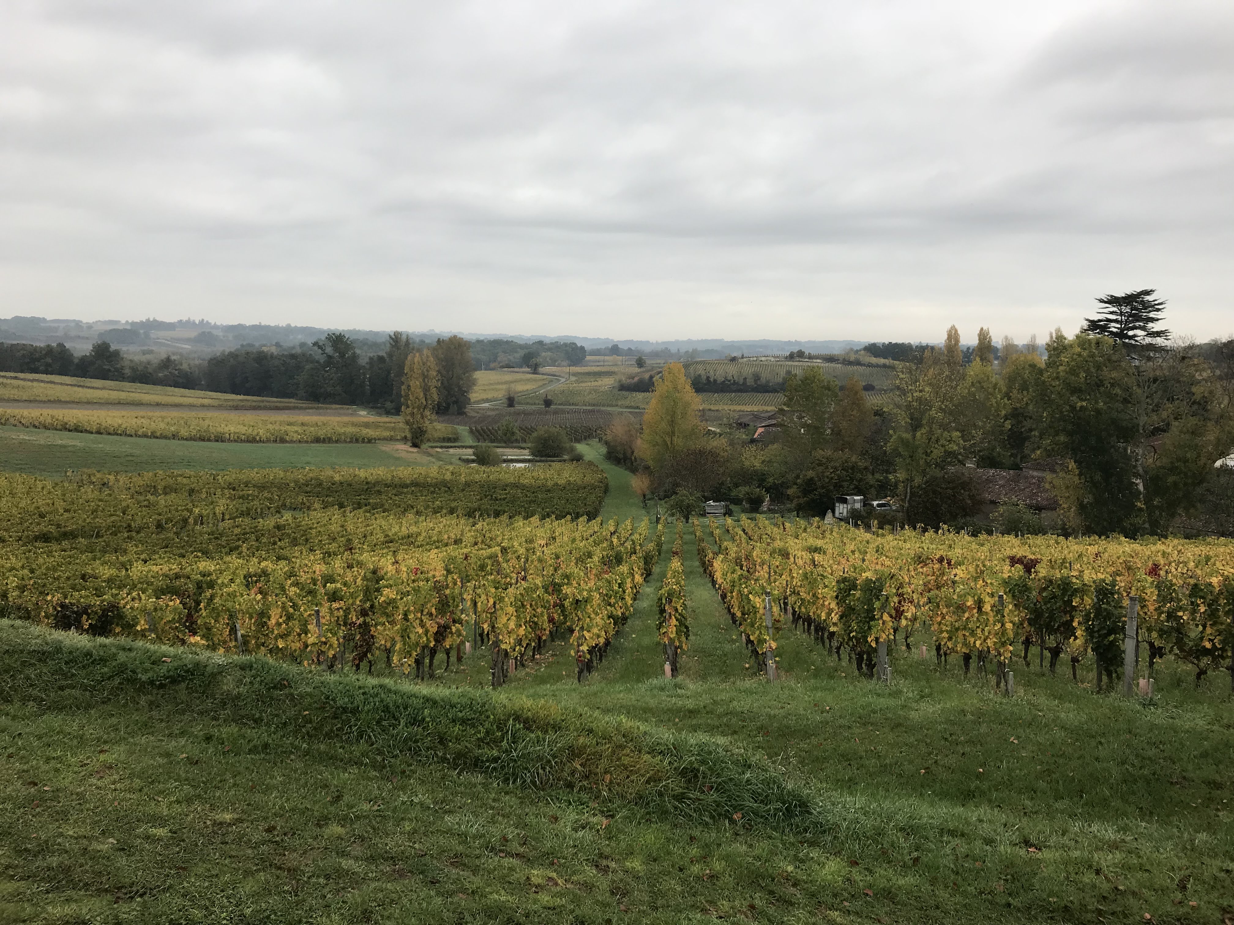 Photo n° 2 de l'avis de Keisuke. fait le 29/10/2017 à 20:42