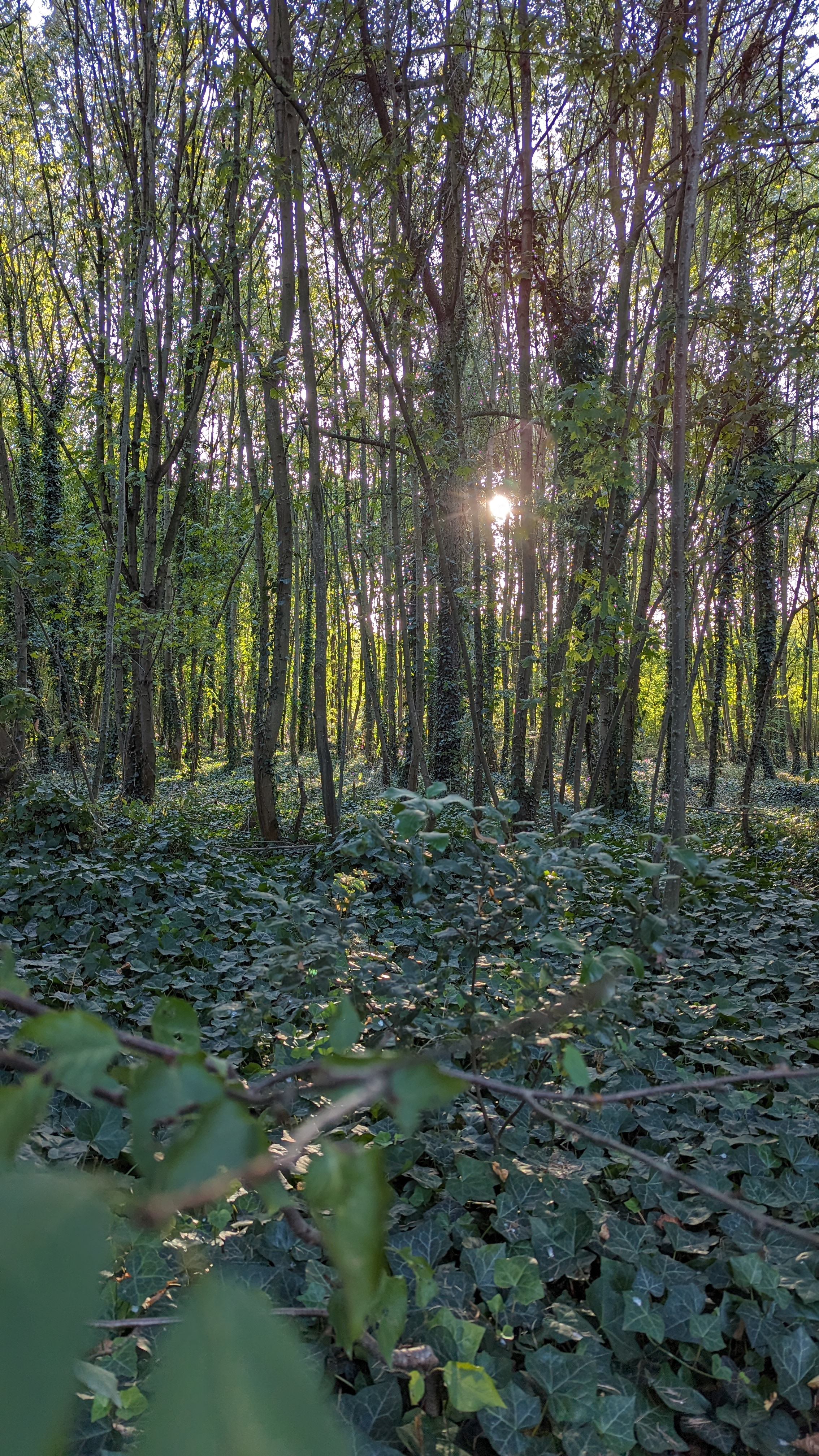 Photo n° 12 de l'avis de Alessandro.t fait le 09/03/2024 à 01:48