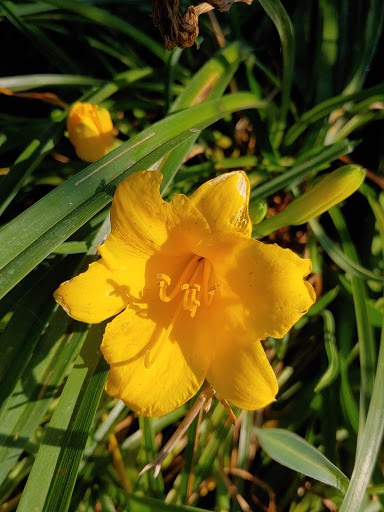 Tourist Attraction «Snoqualmie Falls Lower Observation Deck», reviews and photos, 37451 SE Fish Hatchery Rd, Fall City, WA 98024, USA