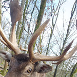 Photo n°4 de l'avis de Marcel.l fait le 01/04/2024 à 15:00 sur le  Hotel Sassor à Battenberg