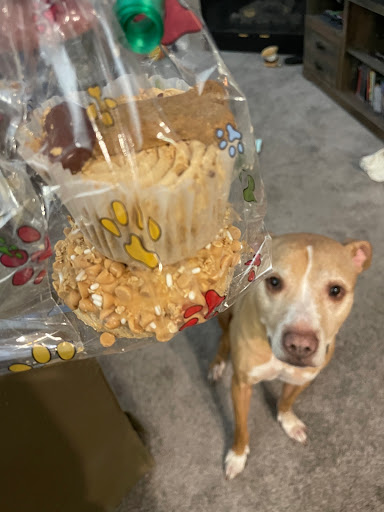 Pet Store «Mouthfuls Pet Supply Store», reviews and photos, 4224 Tennyson St, Denver, CO 80212, USA