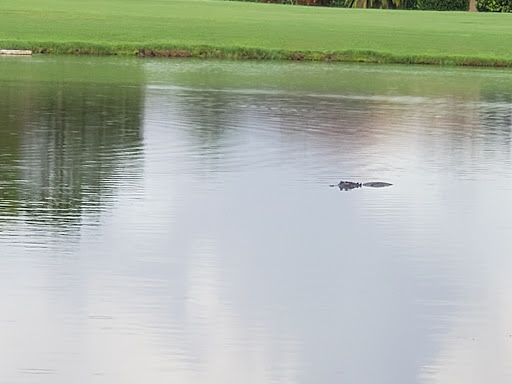 Golf Course «River Strand Golf & Country Club», reviews and photos, 7155 Grand Estuary Trail, Bradenton, FL 34212, USA