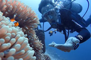 Bali Dive & Water Sport image