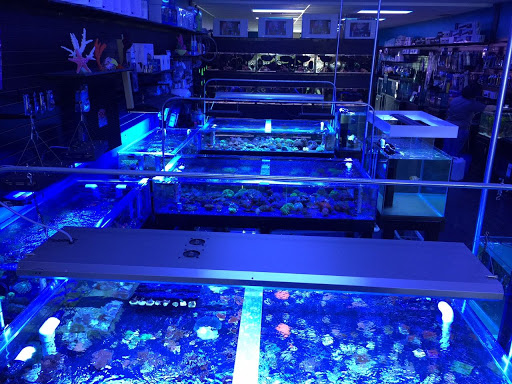 Tropical Fish Store «Reef Oasis», reviews and photos, 7669 Mentor Ave, Mentor, OH 44060, USA