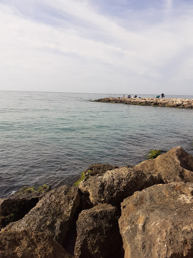 Operadores Portuarios Santa Pola