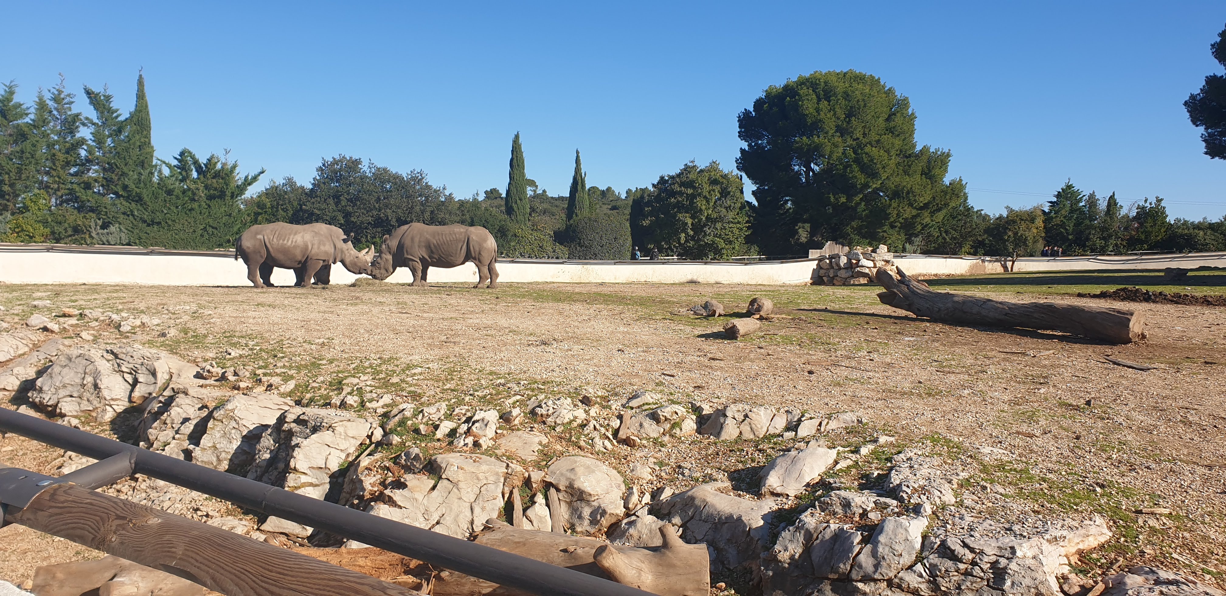 Photo n° 12 de l'avis de Roussillon.e fait le 20/11/2021 à 06:51