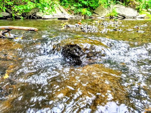 Devereaux Park (Albert L Caflisch Memorial Park)