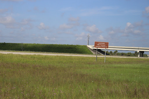 Nature Preserve «Big Cypress National Preserve», reviews and photos
