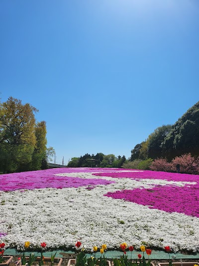 若の原農村公園