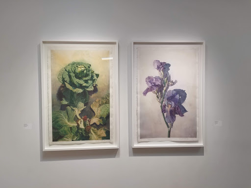 Art Gallery «Valley House Gallery Inc», reviews and photos, 6616 Spring Valley Rd, Dallas, TX 75254, USA