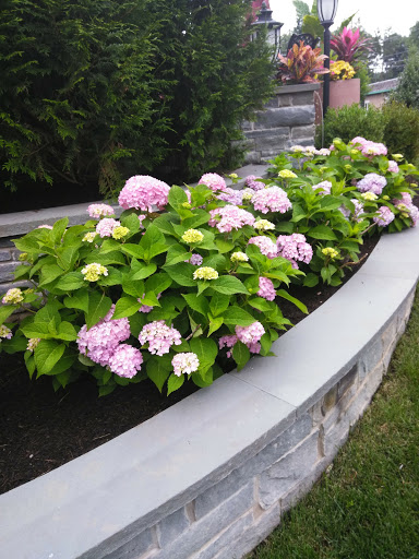 Steak House «The Brick House», reviews and photos, 179 Godwin Ave, Wyckoff, NJ 07481, USA