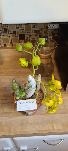 Florist «Toadflax Inc», reviews and photos, 5500 Walnut St, Pittsburgh, PA 15232, USA