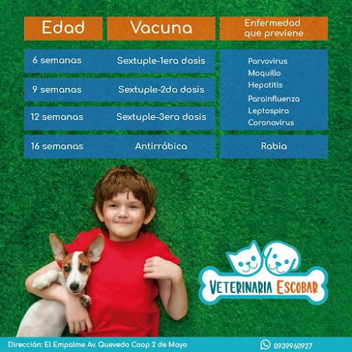 Veterinaria Escobar - Velasco Ibarra