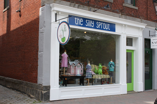 Toy Store «The Silly Sprout», reviews and photos, 469 Bantam Rd, Litchfield, CT 06759, USA