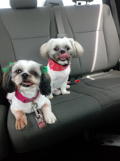 Used Car Dealer «Germain Toyota of Columbus», reviews and photos, 5711 Scarborough Blvd, Columbus, OH 43232, USA