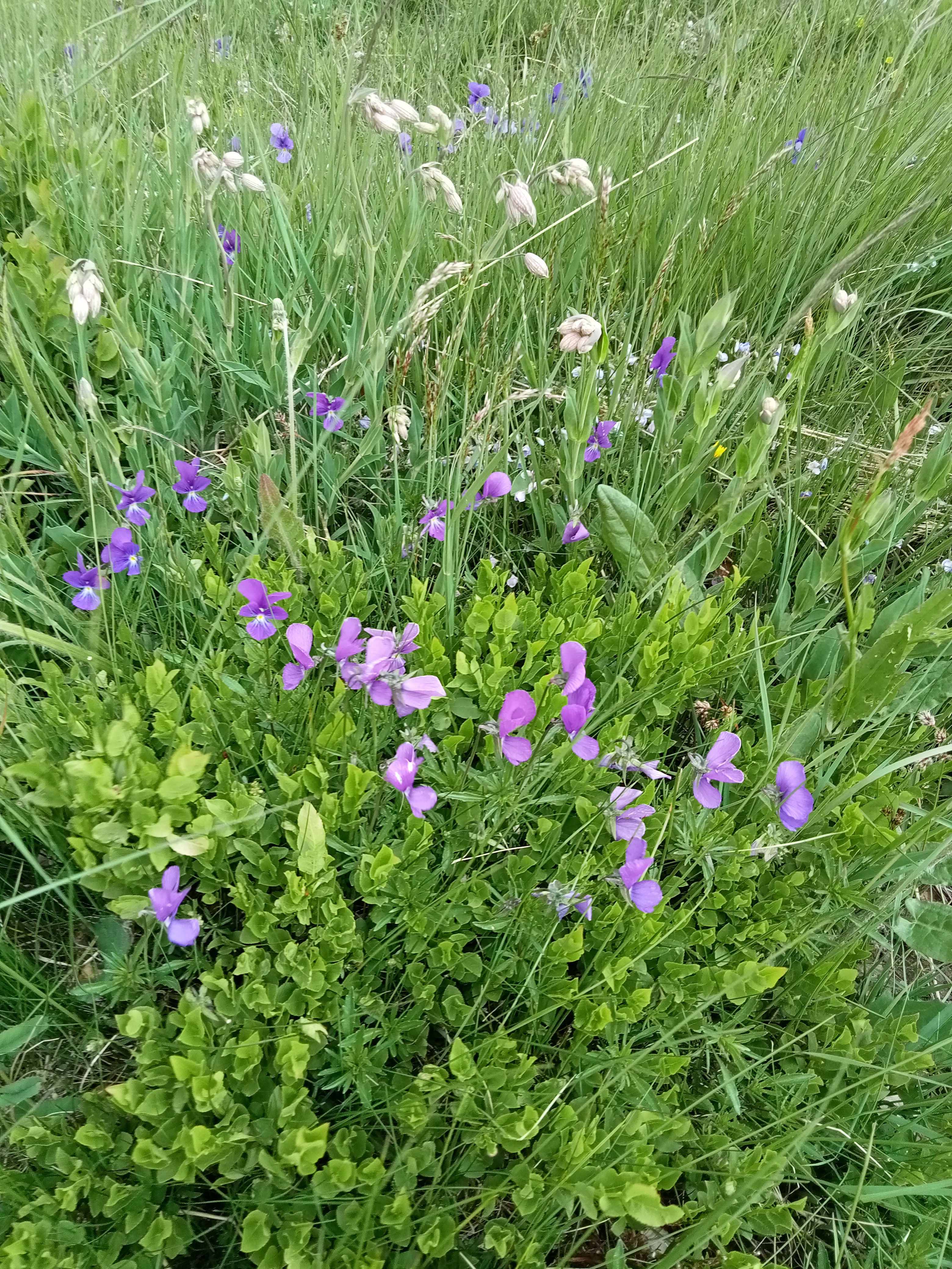 Photo n° 5 de l'avis de Graziella.i fait le 27/05/2022 à 21:28