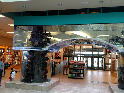 Sporting Goods Store «SCHEELS», reviews and photos, 1200 Scheels Drive, Sparks, NV 89434, USA