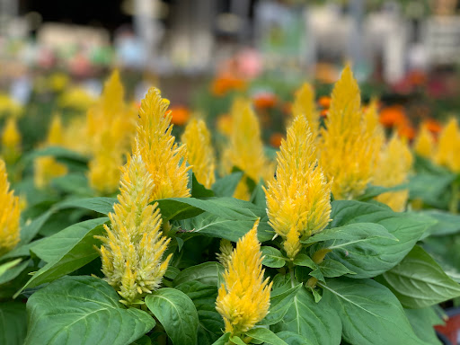 Home Improvement Store «The Home Depot», reviews and photos, 1055 Paterson Plank Rd, Secaucus, NJ 07094, USA