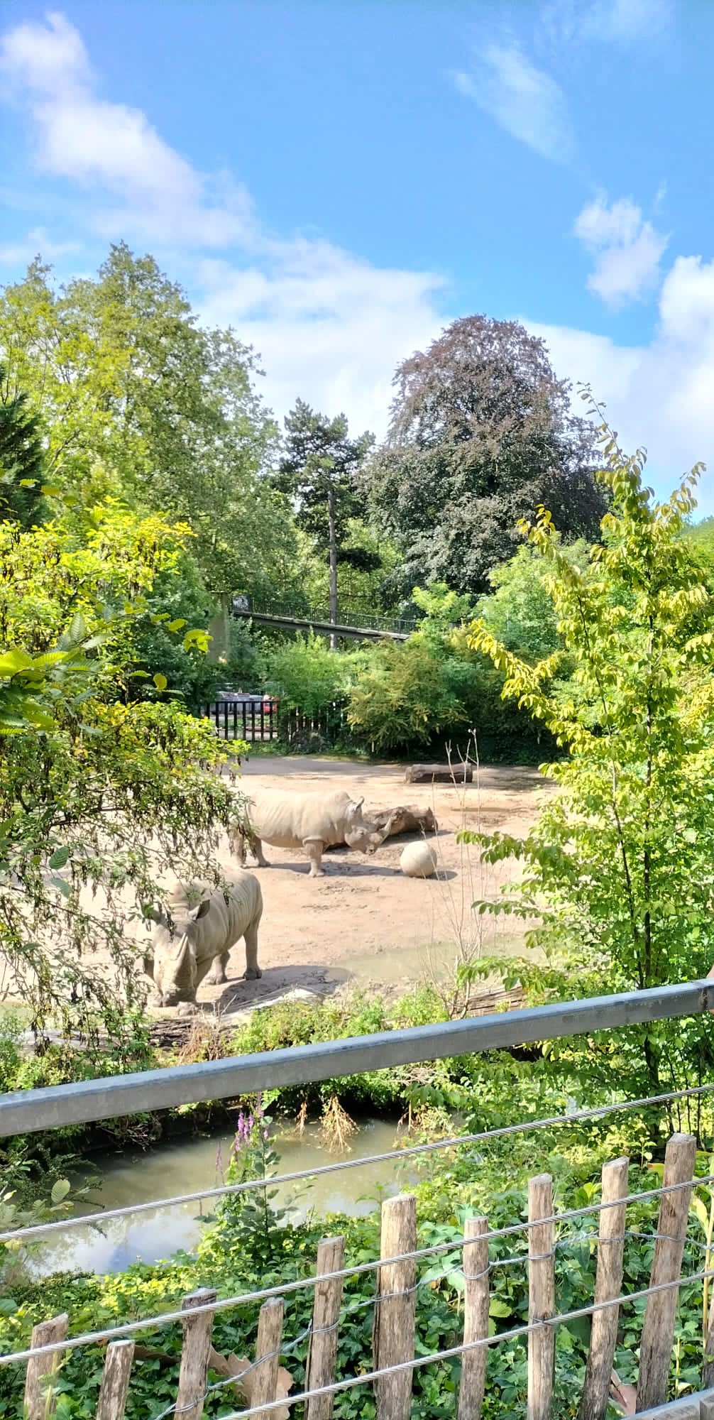 Photo n° 1 de l'avis de Thomas.U fait le 23/08/2023 à 16:04