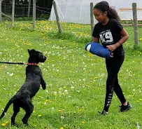 TIMELESS K9 BOARDING AND TRAINING - Car repair in Tacoma, WA, Tacoma - Rated 5.0/5