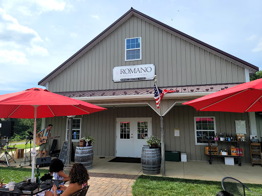 Vineyard «Romano Vineyard & Winery», reviews and photos, 15715 Bald Eagle School Rd, Brandywine, MD 20613, USA