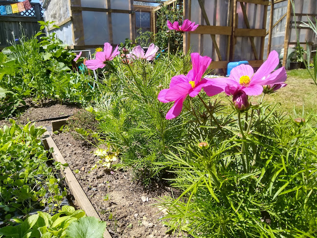 S.E.A. Community Garden, University of Otago - University