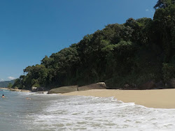 Praia Brava De Itamambuca'in fotoğrafı doğal alan içinde bulunmaktadır