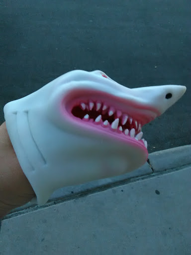 Book Store «Barnes & Noble», reviews and photos, 960 S Colorado Blvd, Glendale, CO 80246, USA