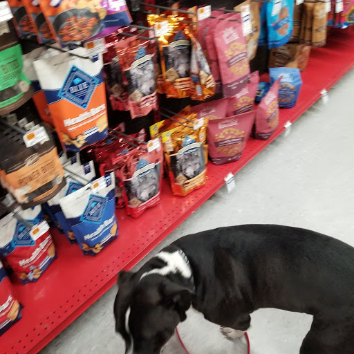 Pet Supply Store «Petco Animal Supplies», reviews and photos, 35 Davis Straits Road, Falmouth, MA 02540, USA