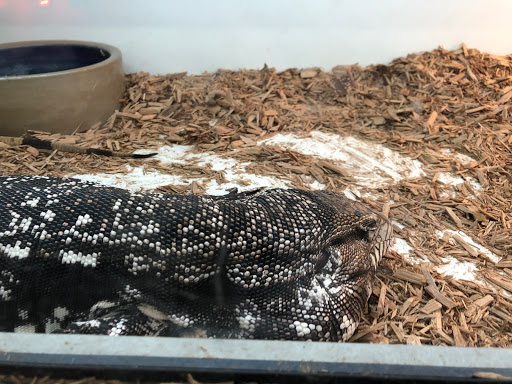 Reptile Store «La Habra Pets», reviews and photos, 1919 W La Habra Blvd, La Habra, CA 90631, USA
