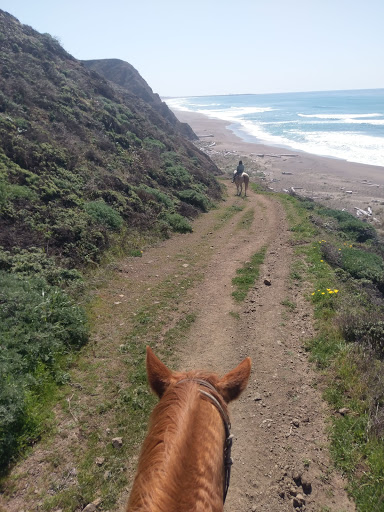 Stable «Ross Ranch», reviews and photos, 28300 Philo Greenwood Rd, Elk, CA 95432, USA