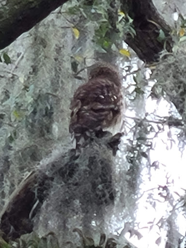 Park «Pigeon Point Park», reviews and photos, 1521 Pigeon Point Rd, Beaufort, SC 29902, USA