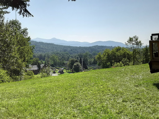 Tourist Attraction «Wilson Castle», reviews and photos, 2970 W Proctor Rd, Proctor, VT 05765, USA