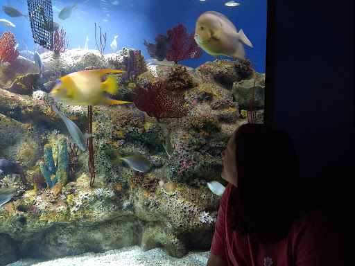 North Carolina Aquarium at Fort Fisher