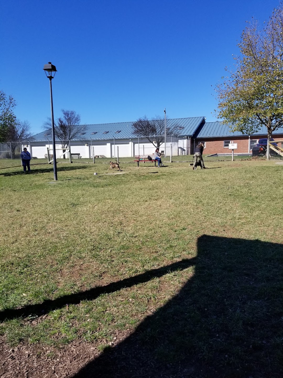 Salem Rotary Dog Park