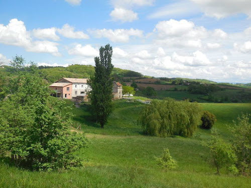 Gîtes Au Pigeon Voyageur et En Macary : Location gîtes 6 personnes et 3 personnes en pleine campagne tout équipés avec vue sur les Pyrénées, terrasses attenantes bois indépendantes aménagées, piscine, proche de Graulhet à Moulayrès, Tarn, Occitanie à Moulayrès