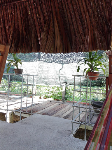 Cà phê Lối Nhỏ