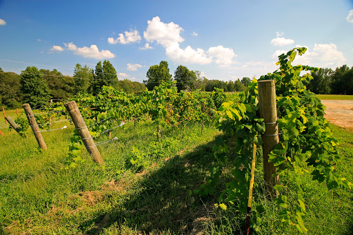 Winery «Boutier Winery & Events», reviews and photos, 4506 Hudson River Church Rd, Danielsville, GA 30633, USA