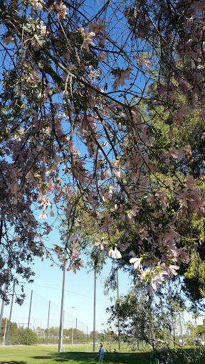 Golf Course «Dad Miller Golf Course», reviews and photos, 430 N Gilbert St, Anaheim, CA 92801, USA