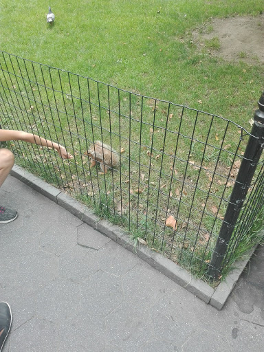 Park «Madison Square Park», reviews and photos, 11 Madison Ave, New York, NY 10010, USA