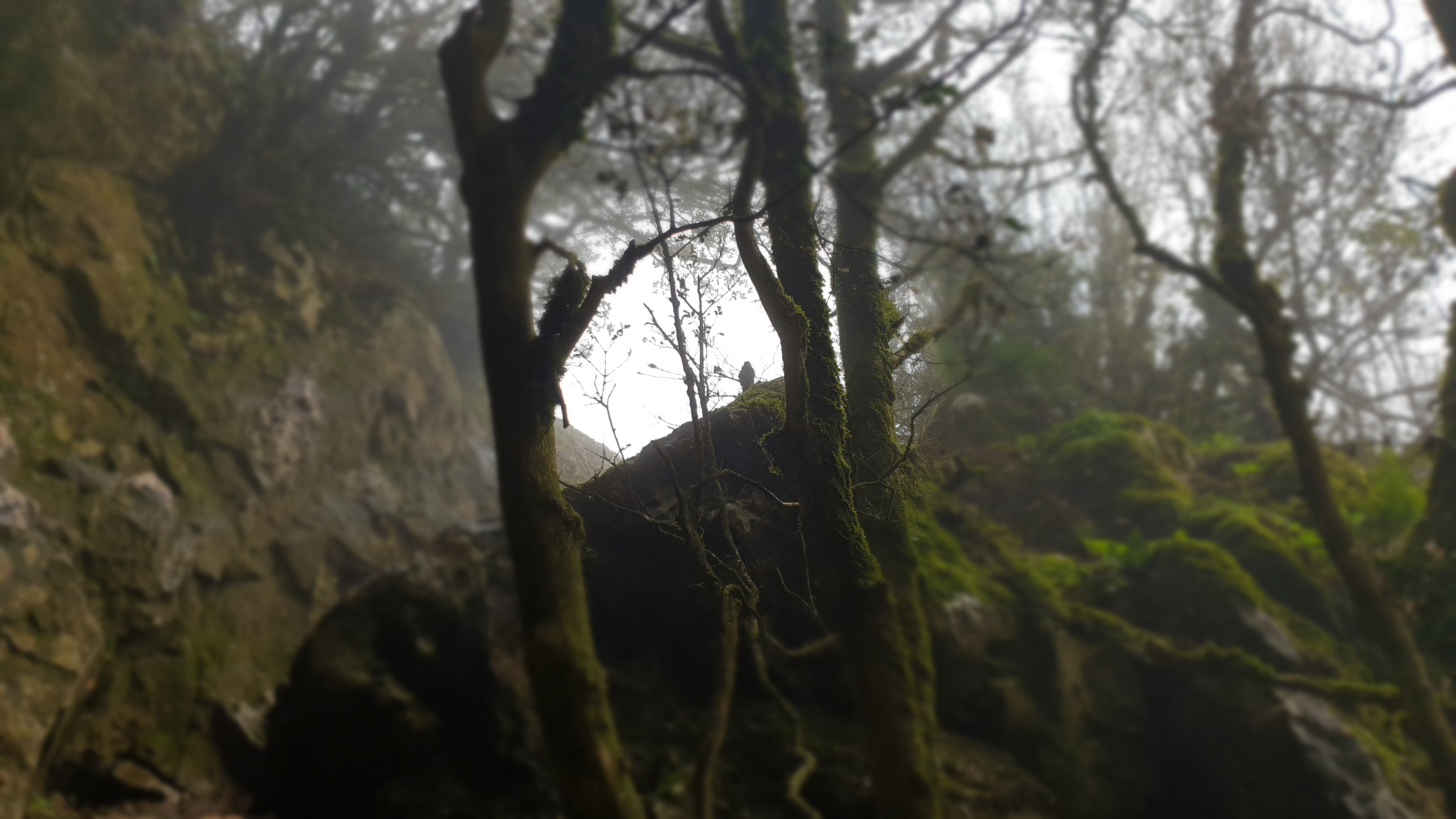 Photo n° 1 de l'avis de Docteur.e fait le 16/02/2020 à 20:32