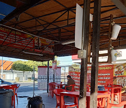 TACOS DE GUISADO EL CHIEF photo