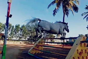 Bangalore Horse Riding School image
