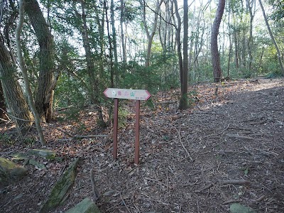 喜桜山