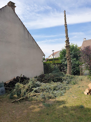 Tree For Life - paysagiste77 à Meaux