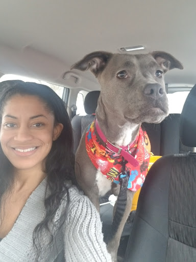 Pet Groomer «The Pet Set - Buckhead», reviews and photos, 2480 Briarcliff Rd NE #3, Atlanta, GA 30329, USA