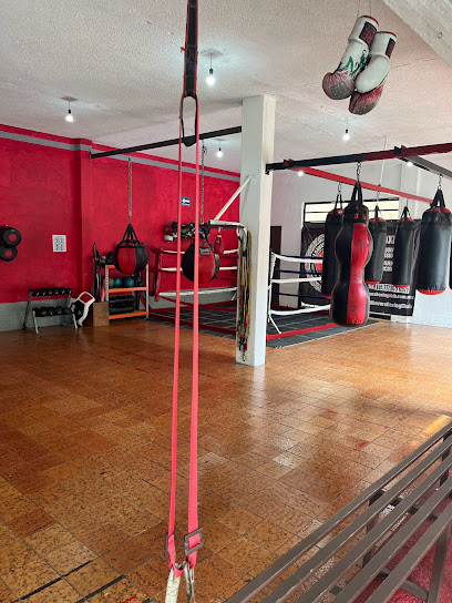 Albavera Boxing Club